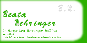 beata mehringer business card